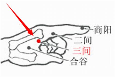 三間穴位置|三間穴－【中醫道】